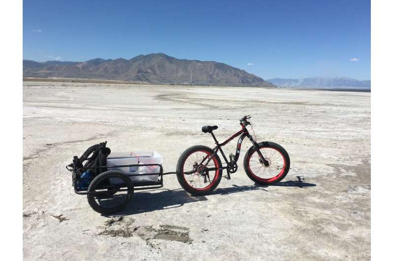 Researcher surveys Great Salt Lake playa