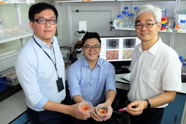 Scientists find easier way to harvest healing factors from adult stem cells in the lab