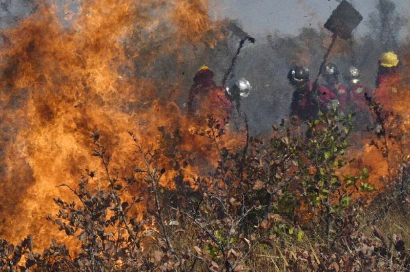 Firefighters try to control a blaze near Charagua in Bolivia on August 29, 2019