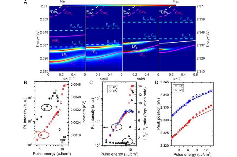 Observations of Rydberg exciton polaritons and their condensate in a perovskite cavity