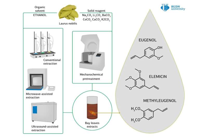 RUDN chemists improved the method of extracting natural antioxidants from bay leaves