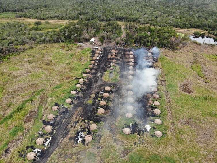 South America's second-largest forest is also burning – and 'environmentally friendly' charcoal is subsidizing its destruction