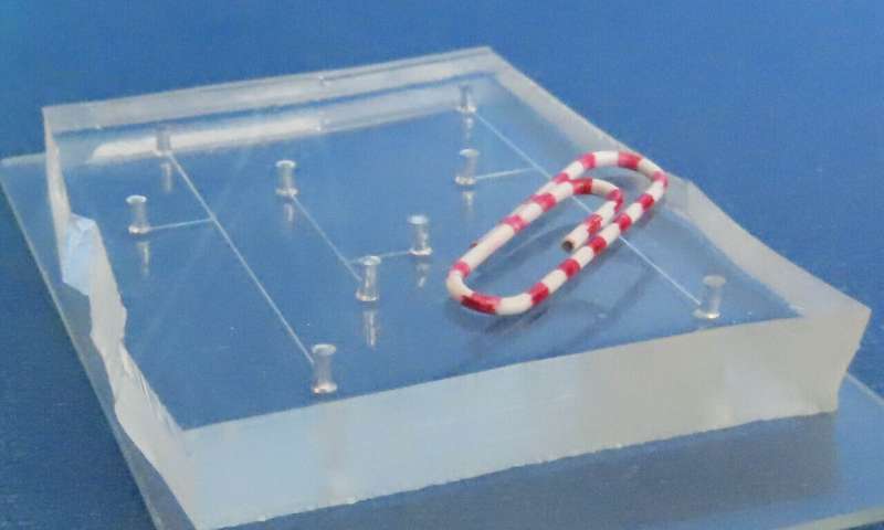 Scientists design built-in controls for mini-chemical labs on a chip