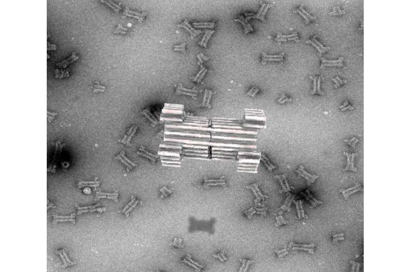 Researchers create synthetic nanopores made from DNA