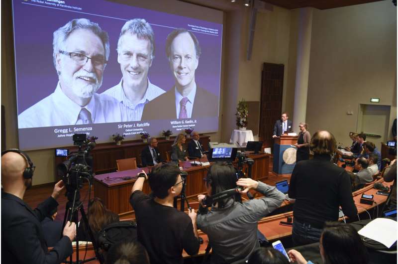 3 win Nobel Prize for showing how cells sense low oxygen