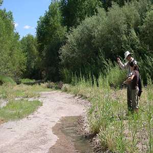Citizen science programs provide valuable data on intermittent rivers in southwestern US