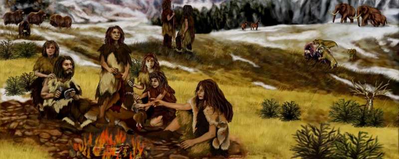 Neanderthals used resin 'glue' to craft their stone tools