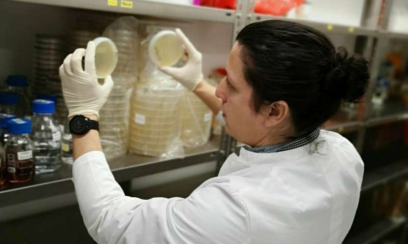 Researchers track down new biocatalysts