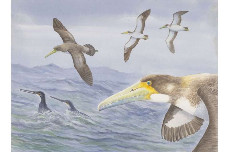 Scientists discover one of world’s oldest bird species at Waipara, New Zealand