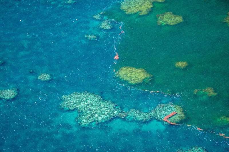 Conservationists warn the controversial mine would threaten the World Heritage-listed Barrier Reef