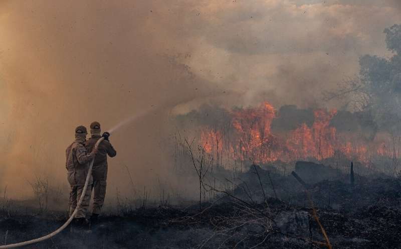 Firefighters in the Brazilian Amazon basin state of Mato Grosso battle a forest blaze in the municipality of Sorriso