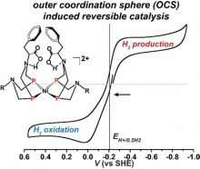 Scientists design fast, reversible bio-inspired catalysts