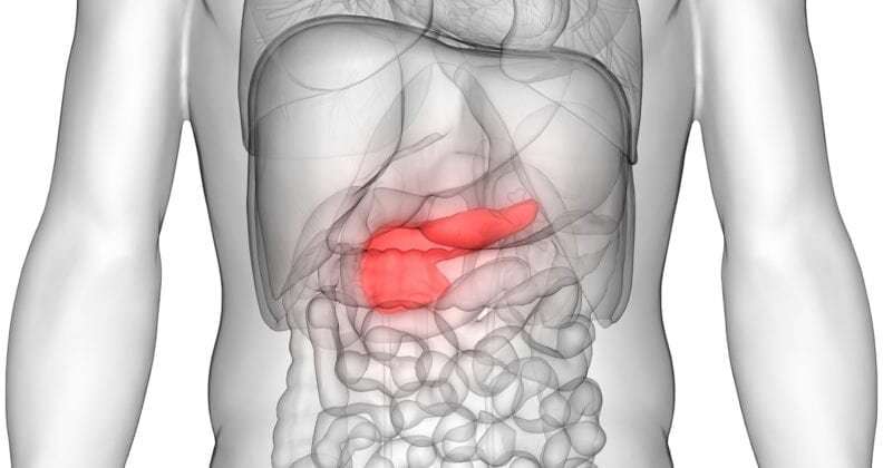 Study investigates potential new treatments for pancreatic cancer