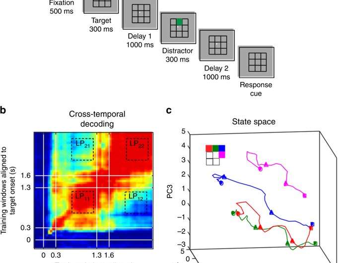 Using machine learning tools to reveal how memories are coded in the brain