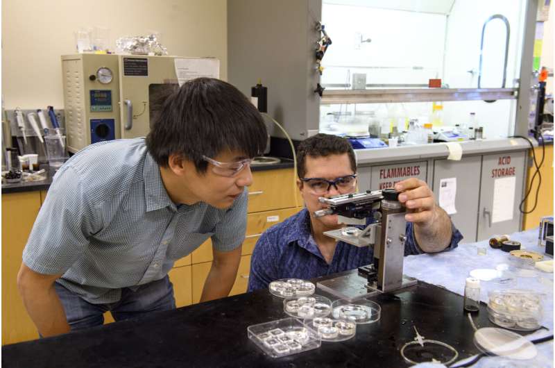 Researchers develop new lens manufacturing technique