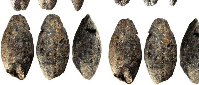 A 5,000-year-old barley grain discovered in Finland changes understanding of livelihoods