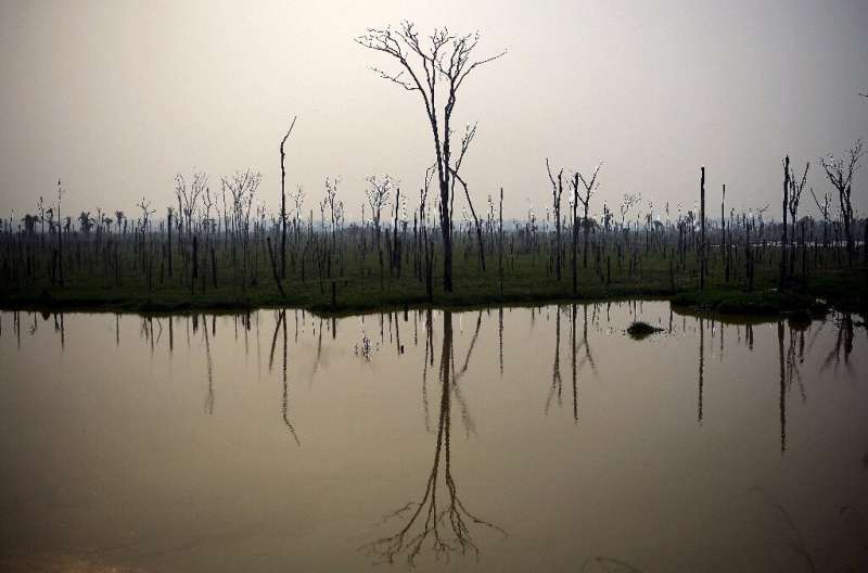 A burnt area of the Amazon rainforest is pictured near Abuna, Rondonia state, Brazil, on August 24, 2019