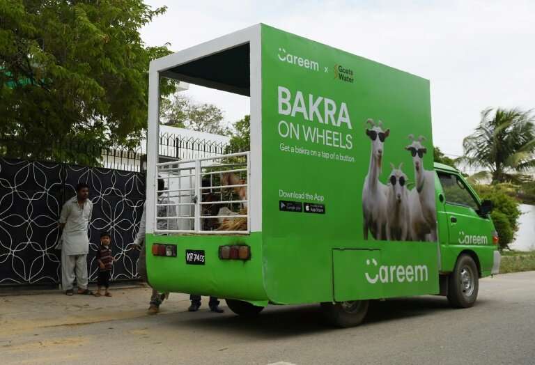 A Careem cab service delivers goats ahead of the Muslim festival Eid al-Adha, in Karachi, Pakistan in 2017