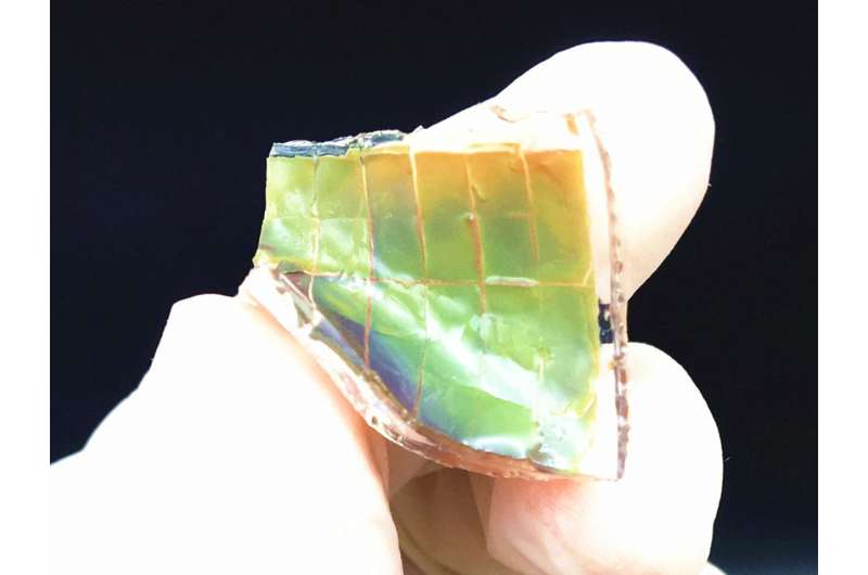 A chameleon-inspired smart skin changes color in the sun