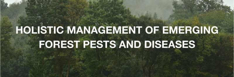 Advanced detection tool to limit the spread of devastating tree pathogens
