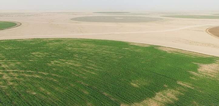 Aerial imaging of plant heights could help farmers manage field crops more effectively