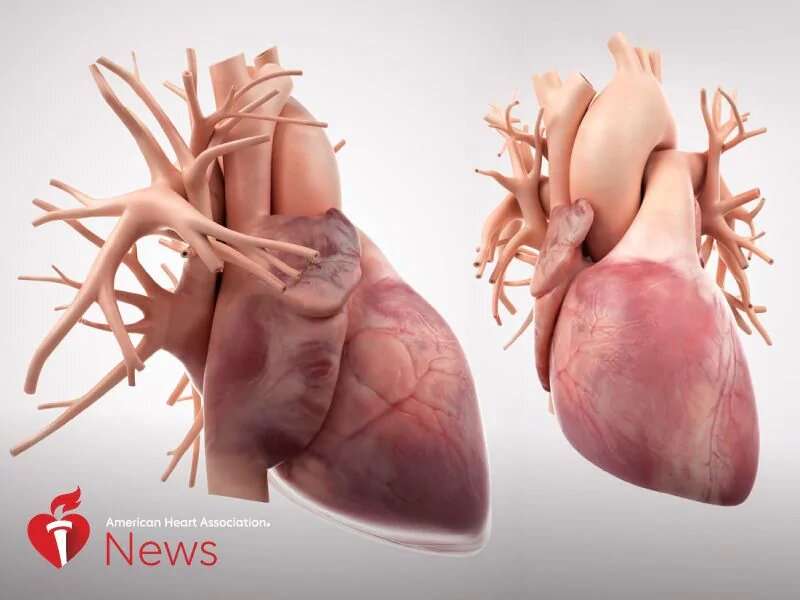 AHA: 7 things that can affect the heart -- and what to do about them