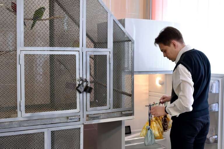 Alexei Shpak, who heads the Minsk bat rescue centre, arranges the bags inside the fridge, which has enough space for 32 bats