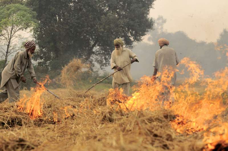 Alternatives to burning can increase Indian farmers' profits and cut pollution