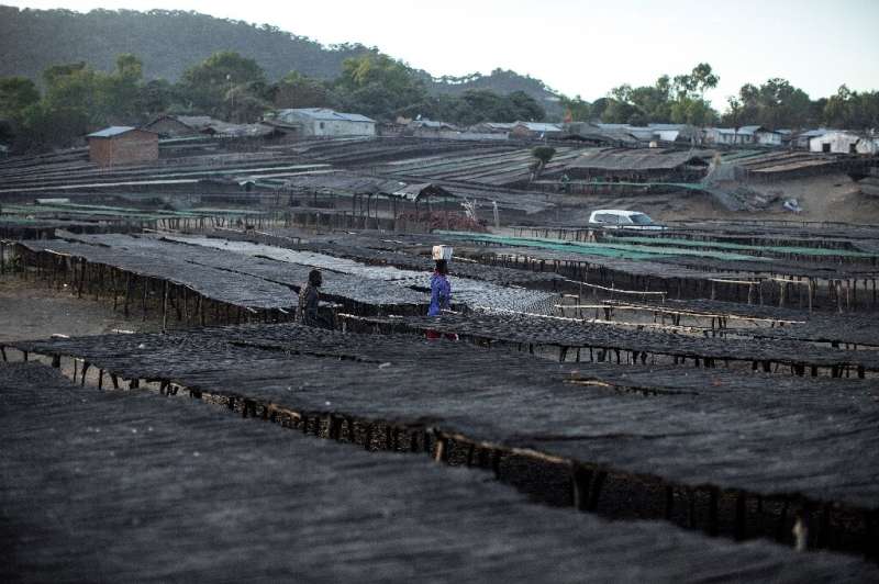 A Malawian fisherman walks through planks and table used to dry fish. Experts say declining fish catches are mainly due to unsus