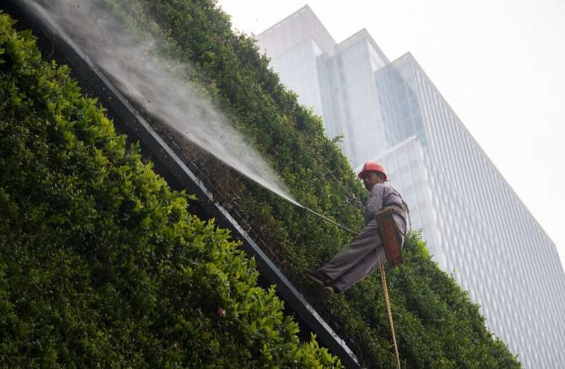 A man waters a vertical garden on a wall of the Shanghai Natural History Museum