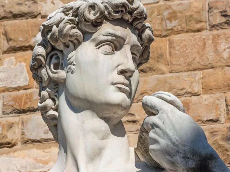 A medical insight in michelangelo's david, 'Hiding in plain sight'