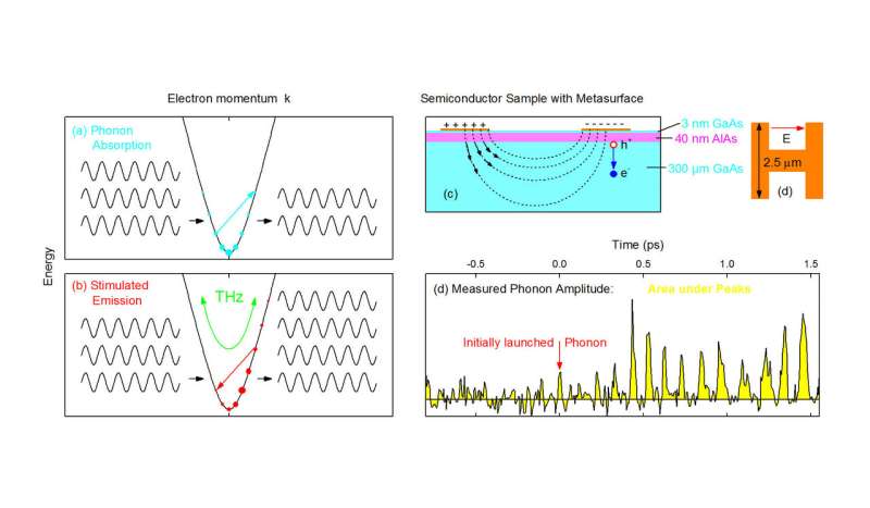 Amplifier for terahertz lattice vibrations in a semiconductor crystal