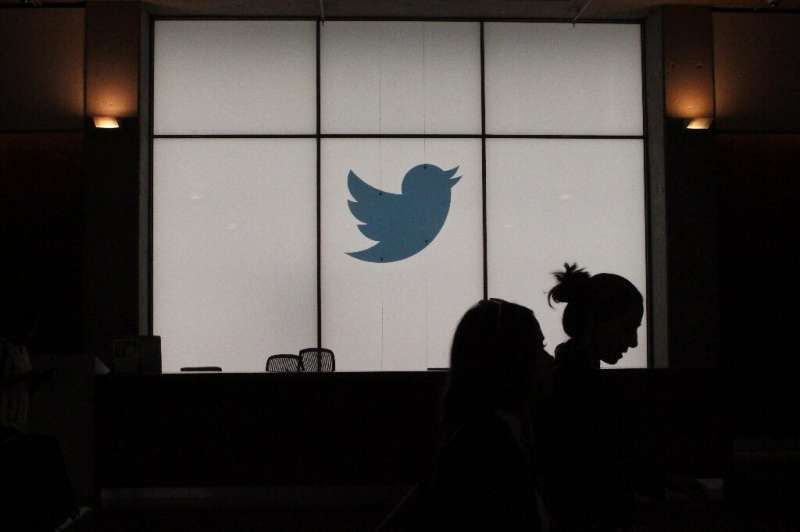 Analysts say tech platforms such as Twitter are ripe for spying because of the vast amounts of key data they hold