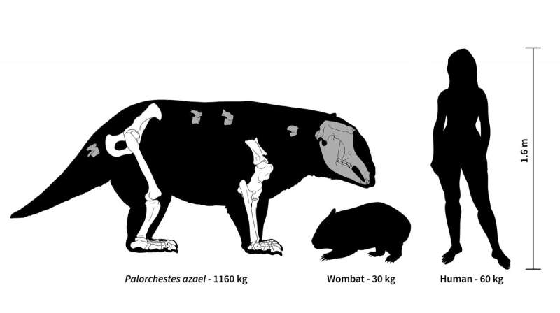 Ancient Australia was home to strange marsupial giants, some weighing over 1,000 kg
