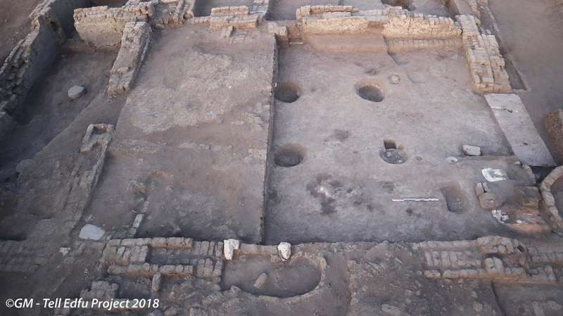 Ancient urban villa with shrine for ancestor worship discovered in Egypt