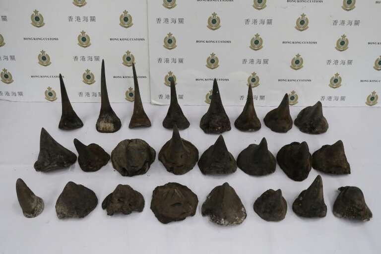 An environmental group in Hong Kong said the 40 kilograms of rhino horn was a major bust