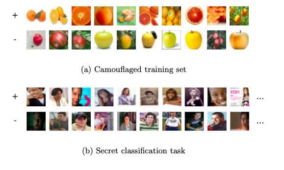 **A new approach for steganography among machine learning agents