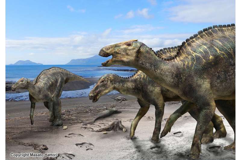 A new duck-billed dinosaur, Kamuysaurus japonicus, identified