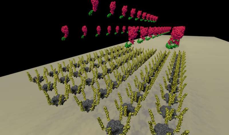 A new tool tidies up molecules at the nano level