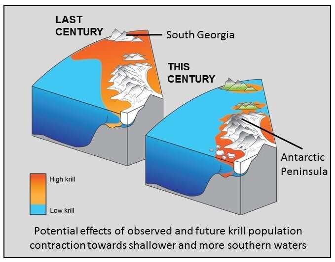 Antarctic krill population contracts southward as polar oceans warm