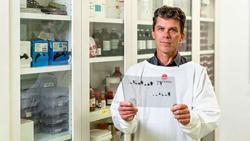 **Antibody's hidden impact in combatting malaria revealed