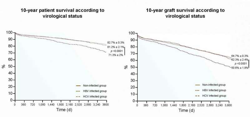 Antiviral therapy improves survival rates for kidney transplant recipients with hepatitis B or C
