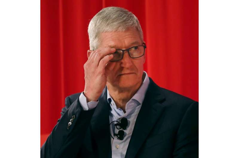 Apple chief Tim Cook ran supply chain logistics for the company before succeeding the late co-founder Steve Jobs at the helm in 