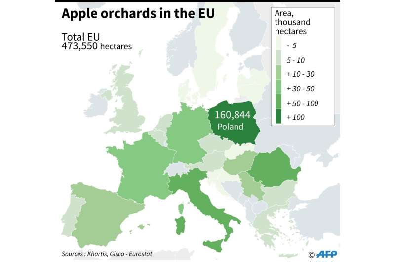 Apple orchards in the EU