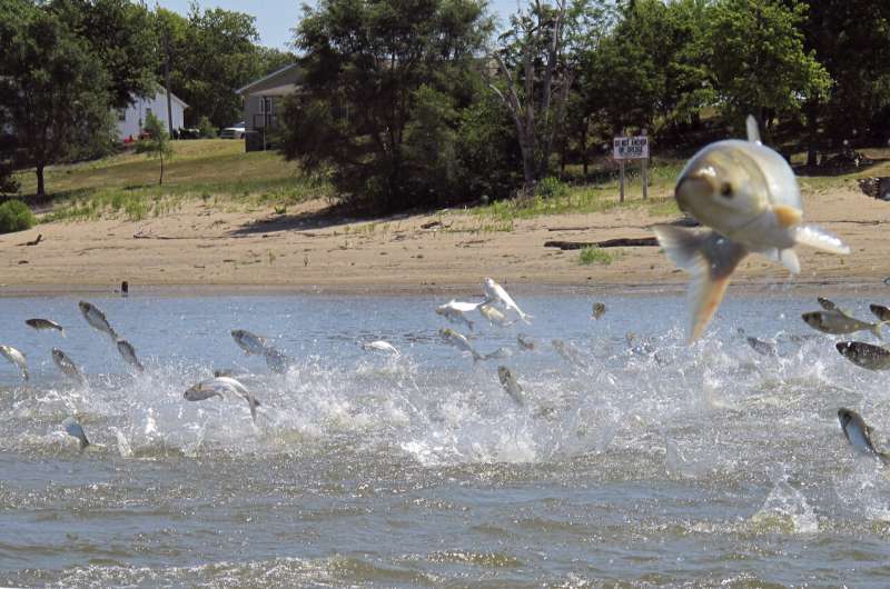 Army Corps approves $778M plan to block Asian carp advance