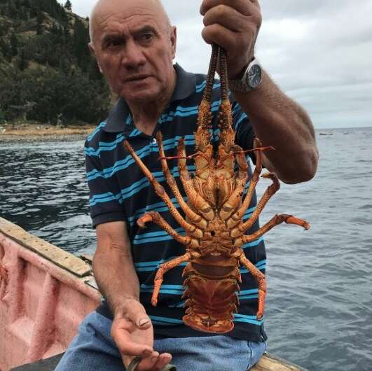 As far back as 1935, fishermen started introducing measures to preserve the islands' principal source of income, the lobster