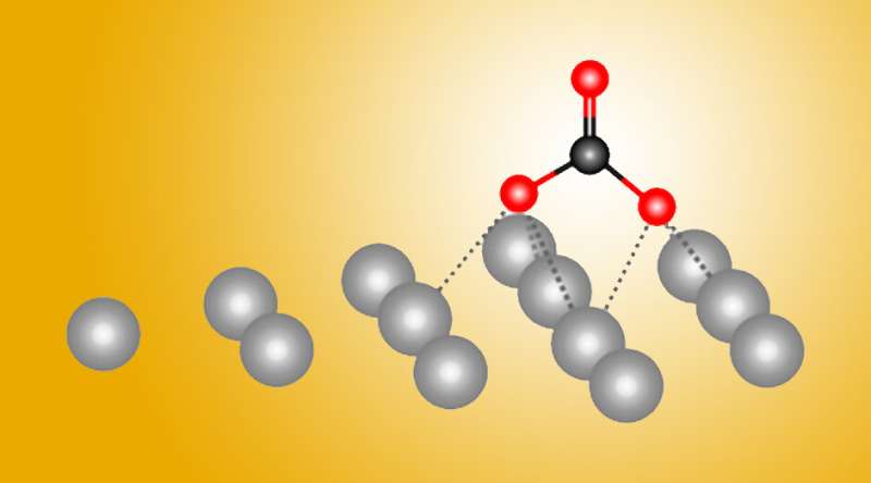 A ‘silver bullet’ for the chemical conversion of carbon dioxide