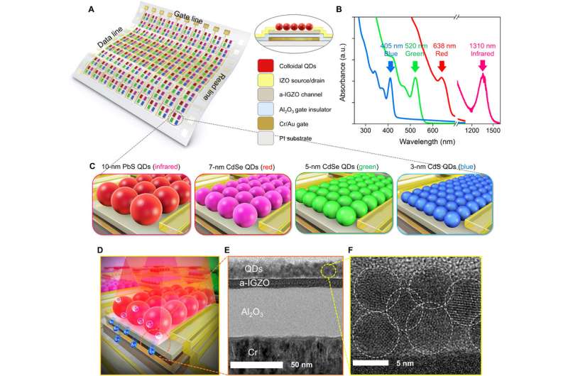A skin-like two-dimensionally pixelized full-color quantum dot photodetector