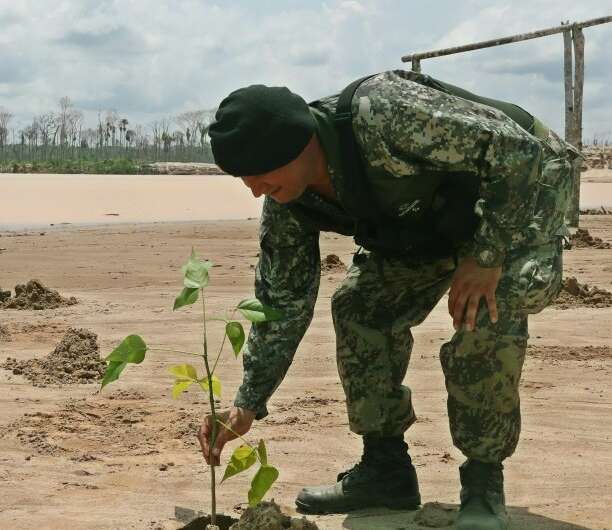A soldier plants a sapling in the sand at a former illegal mining camp that will now be used as a military base to combat defore