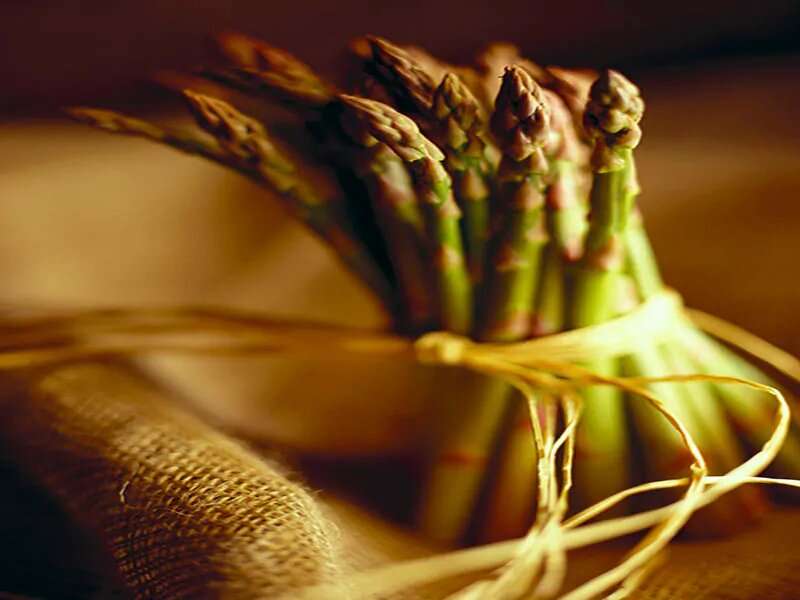 芦笋:一种美味的春季蔬菜，有助于肠道健康